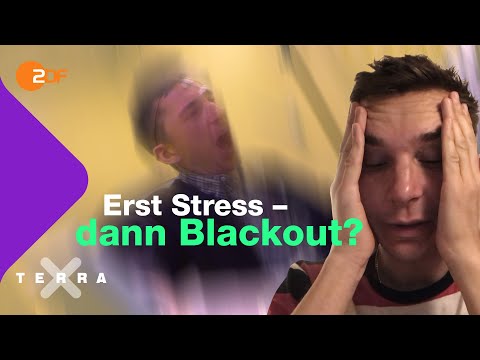 Was bei Stress in unserem Körper passiert – Eric im Stresstest | Terra X plus
