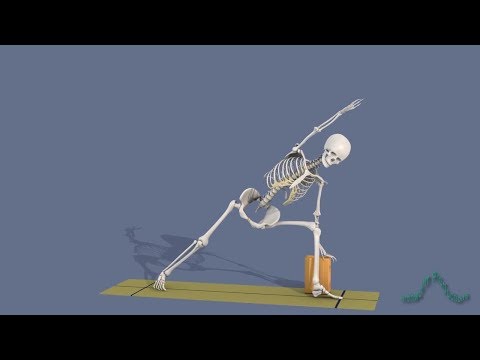 Yoga Poses: Utthita Parsvakonasana