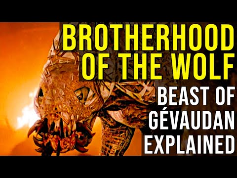 BROTHERHOOD OF THE WOLF (The Beast of Gévaudan) EXPLAINED