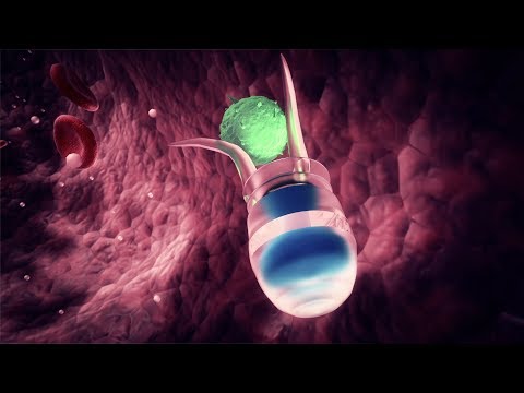 Science Production Reel