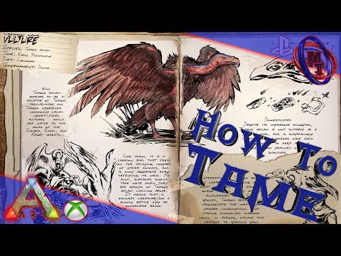 Ark Survival Evolved How To Tame Vulture