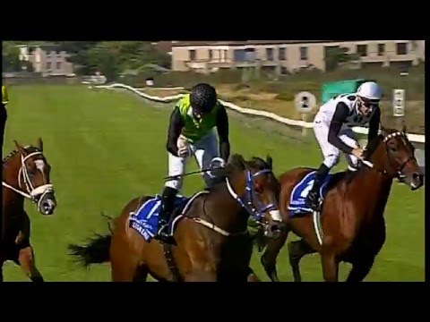 2016 L'Ormarins Queen's Plate - Legal Eagle