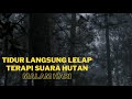 Suara Hutan Malam Hari