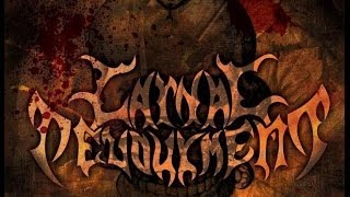 Carnal Devourment - Live @ SOS.  11/15/08