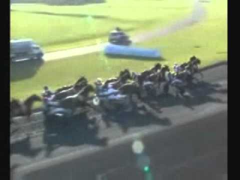 Prix d'Amerique 2004 -Kesaco Phedo