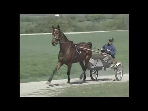 CHRHF 2004 Inductee - Goodtimes