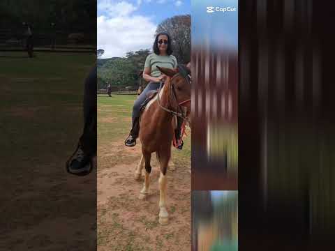 Alto Caparaó  parte 01, bora assistir?!!!  #altocaparaó #fugindodarotina #minasgerais #cachoeiras