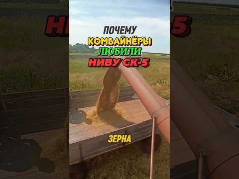 Почему комбайнеры любили НИВУ СК-5 #сельскоехозяйство #комбайн #ссср #машина