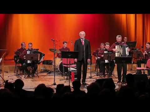 NENAD NIKOLIC-ZA MOJU LJUBAV MLADA SI