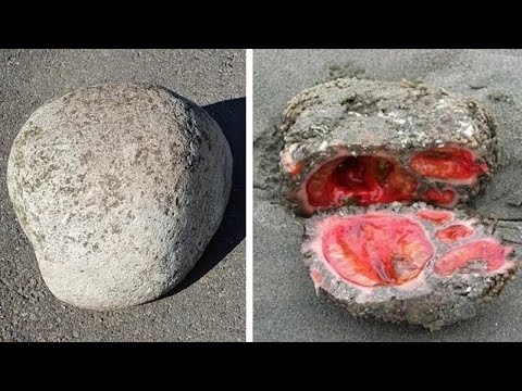 10 Steine, die man NICHT berühren sollte!