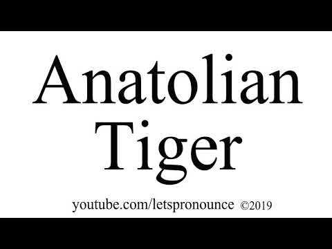 How to Pronounce Anatolian Tiger