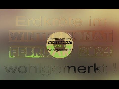 die Gefahr   Strassensperre   Dramatik pur   Wintermonat Februar