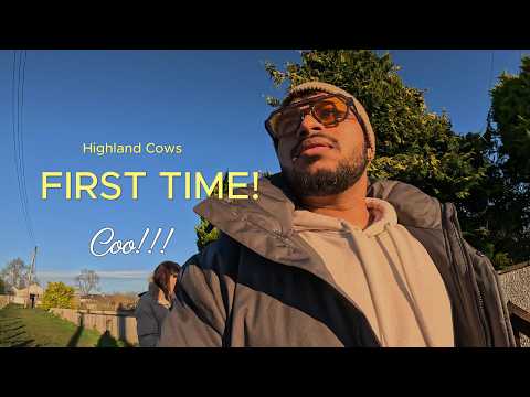 First Time Seeing Highland Cows & Llamas | Scenic Roads near Inverness