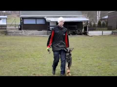 CHARLIE z údolí Úpy