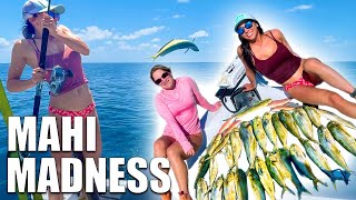 MAHI MADNESS (25+ Miles Offshore in a 20 Foot Boat) - St Pete Beach