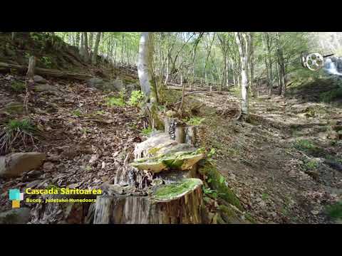 Cascada Săritoarea