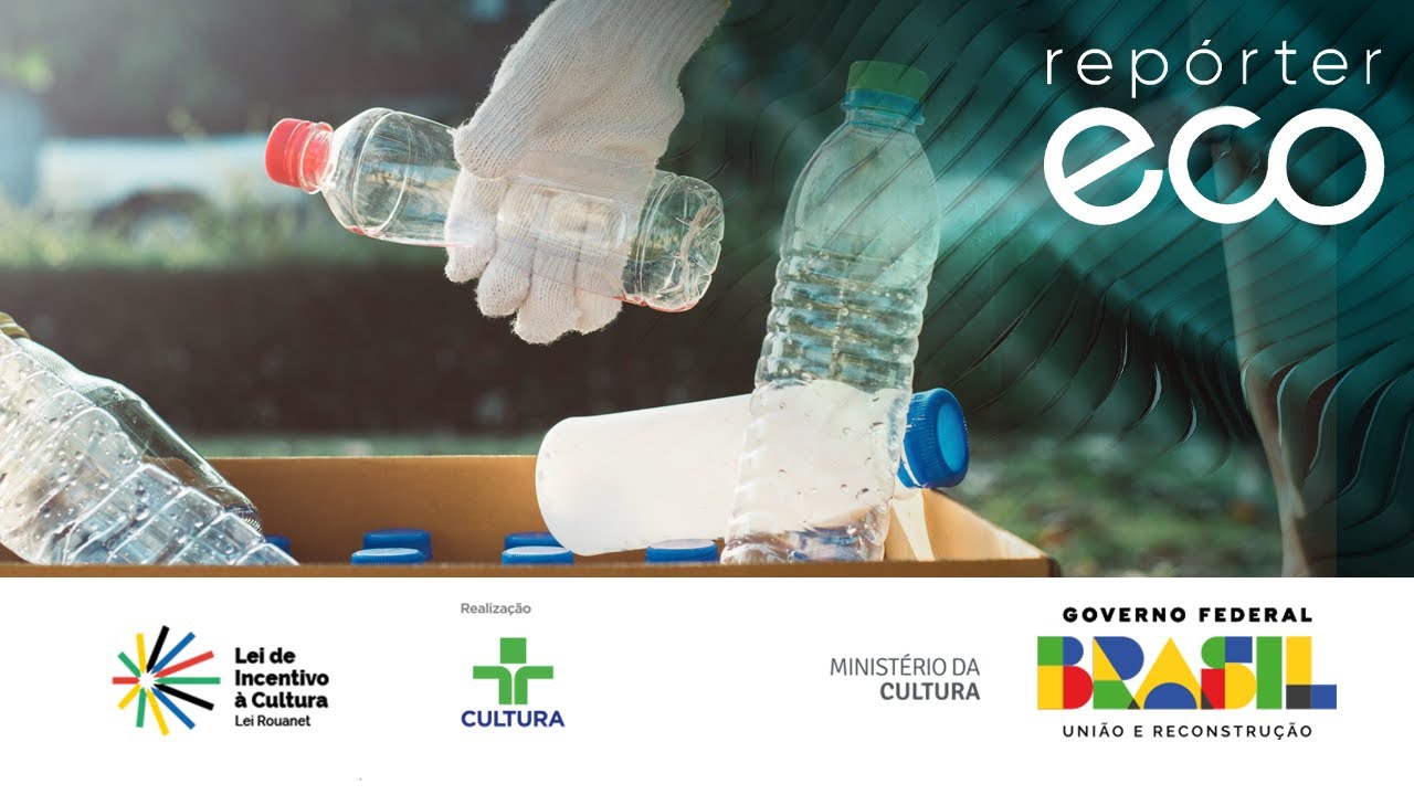 Repórter Eco | Carros Elétricos ajudam a preservar o meio ambiente? | 29/09/2024