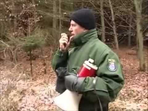 Doku: Polizeihund Ausbildung