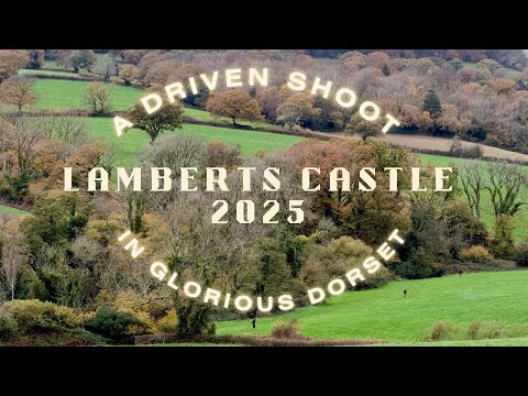 Lamberts Castle Shoot 2025 Recap | Stunning Dorset Drives, Quality Birds & Unbeatable Company