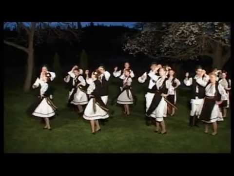 ANSAMBLUL RITMURI ZARANDENE - Colaj dansuri tarini