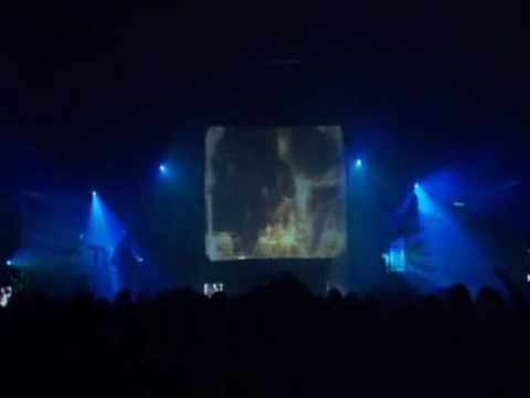 Skinny Puppy Downsizer