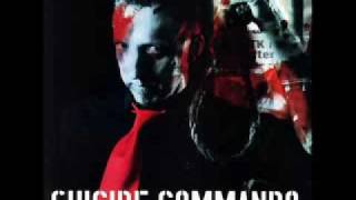 Suicide Commando - Godsend (necromantic mix)