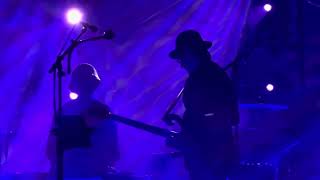 Southbound Pachyderm (Primus) - Les Claypool’s Fearless Flying Frog 🐸 Brigade Live at Marymoor Park