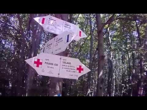 Muntii Gurghiului  - Poiana Iod