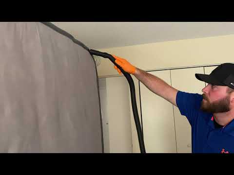 Seams of Mattress Full of Bed Bugs in Freehold, NJ