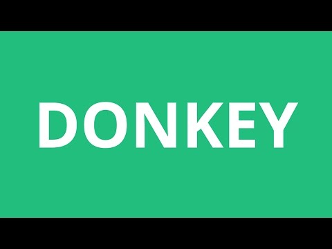 How To Pronounce Donkey - Pronunciation Academy