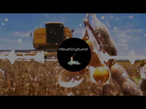 Bruno & Marrone  Te amar foi ilusão com GRAVE