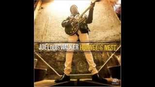 Joe Louis Walker   Hornet's Nest 2014