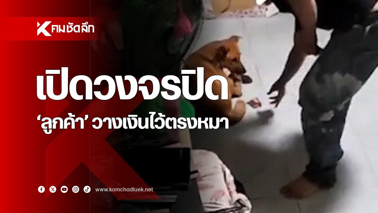 เปิดวงจรปิด 'ลูกค้า' วางเงินไว้ตรงหมา ทำแดงงงเลย
