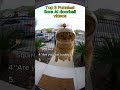 Top 5 Funniest Sora AI Doorbell Videos Funny Viral Top5 Memes Ai Soraai Comedy