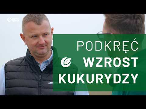 Film na temat: { video.title }}