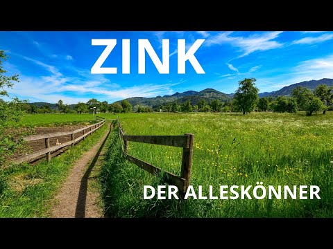 Zink - der Alleskönner