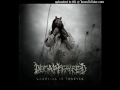 Decapitated - United
