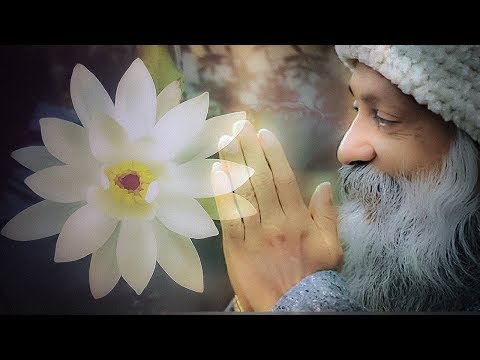 OSHO SATSANG  - Shastro & Purana LIVE