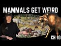The Paleogene Period That We Know Of Ft Ben G Thomas Lindsay Nikole