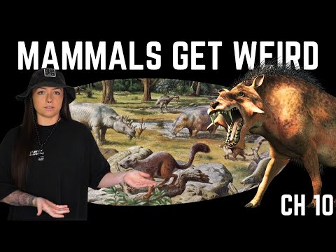 The Paleogene Period (That We Know Of) ft. Ben G. Thomas | Lindsay Nikole