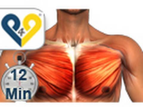 Chest muscle training