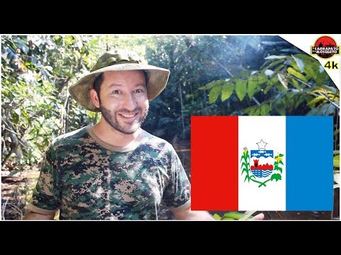 Curiosidades sobre os Estados do Brasil | Alagoas