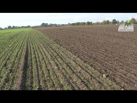 141. Feldexkursion: Herbizide im Getreide - NU.Agrar, 23.10.2019