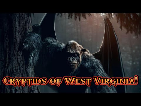 Top 5 Cryptids of West Virginia