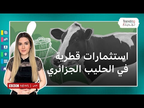 3.5 مليار دولار.. ما تفاصيل الاستثمارات القطرية في الحليب الجزائري؟