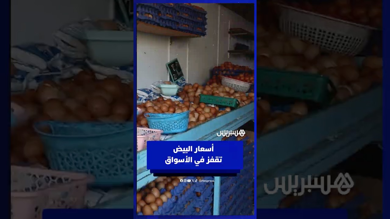 أسعار البيض تقفز في الأسواق.. وتجار يكشفون خلفيات الارتفاع thumbnail