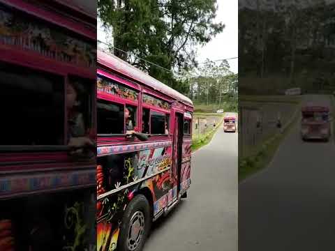 samarasinghe bothers 🌟 bus pisso #bus #busmania