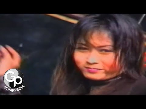 INUL DARATISTA - MELATI