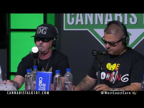 Welcoming the  Pot Brothers at Law! I Cannabis Talk 101