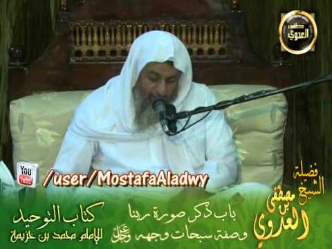  شرح كتاب التوحيد لابن خزيمة (7) ذكر صورة ربنا وصفة سبحات وجهه عز وجل 